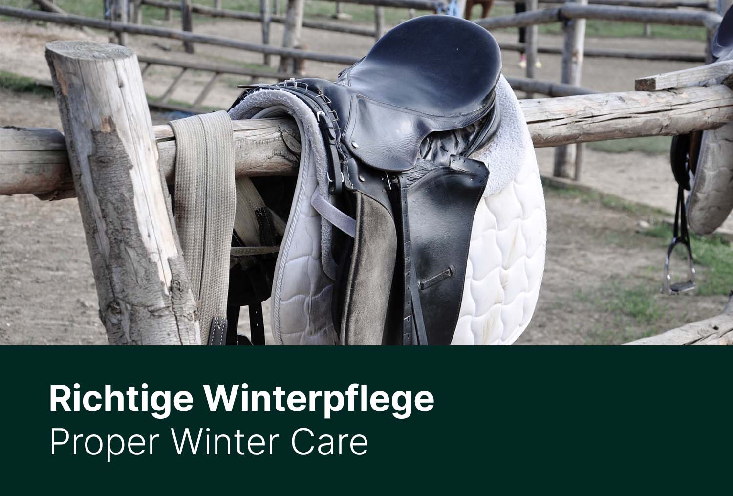 Winterpflege - Sattel, Zaumzeug & Co. richtig pflegen