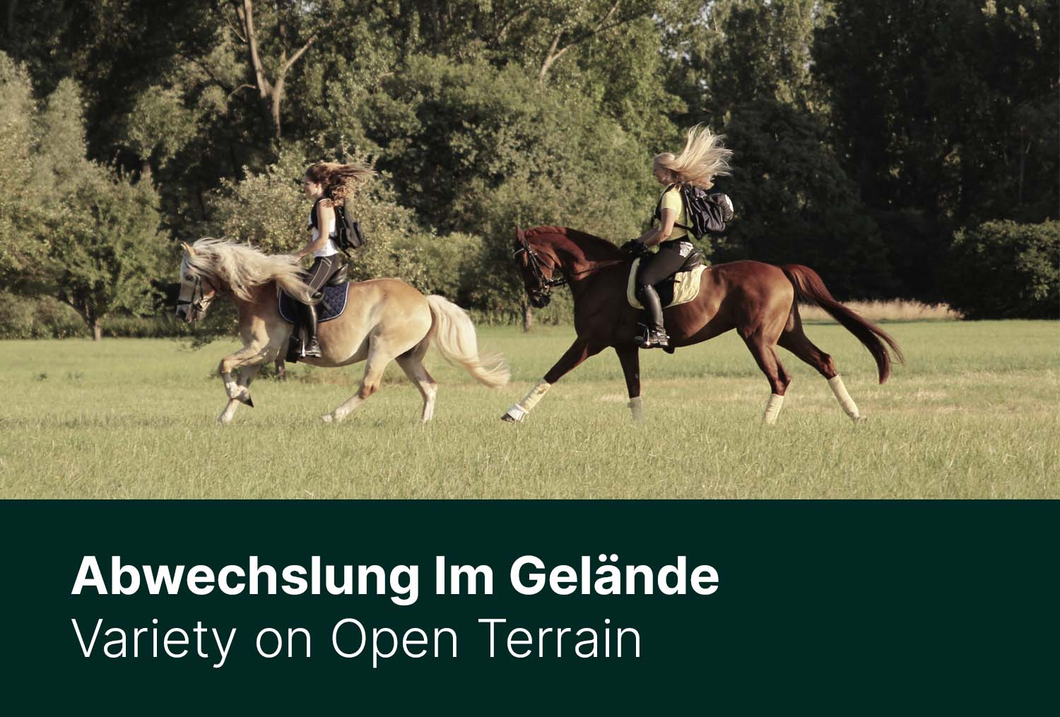 Abwechslung im Gelände - Dressurarbeit mal anders