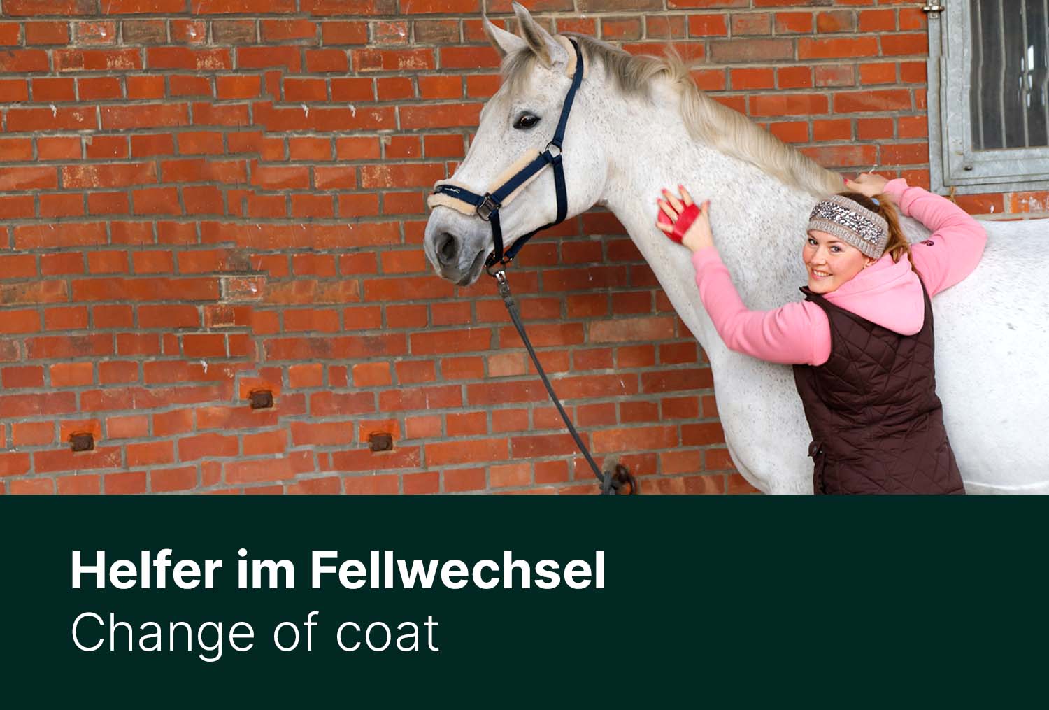 Helfer im Fellwechsel