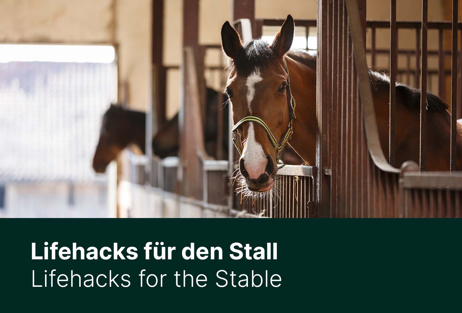 Lifehacks für den Stall