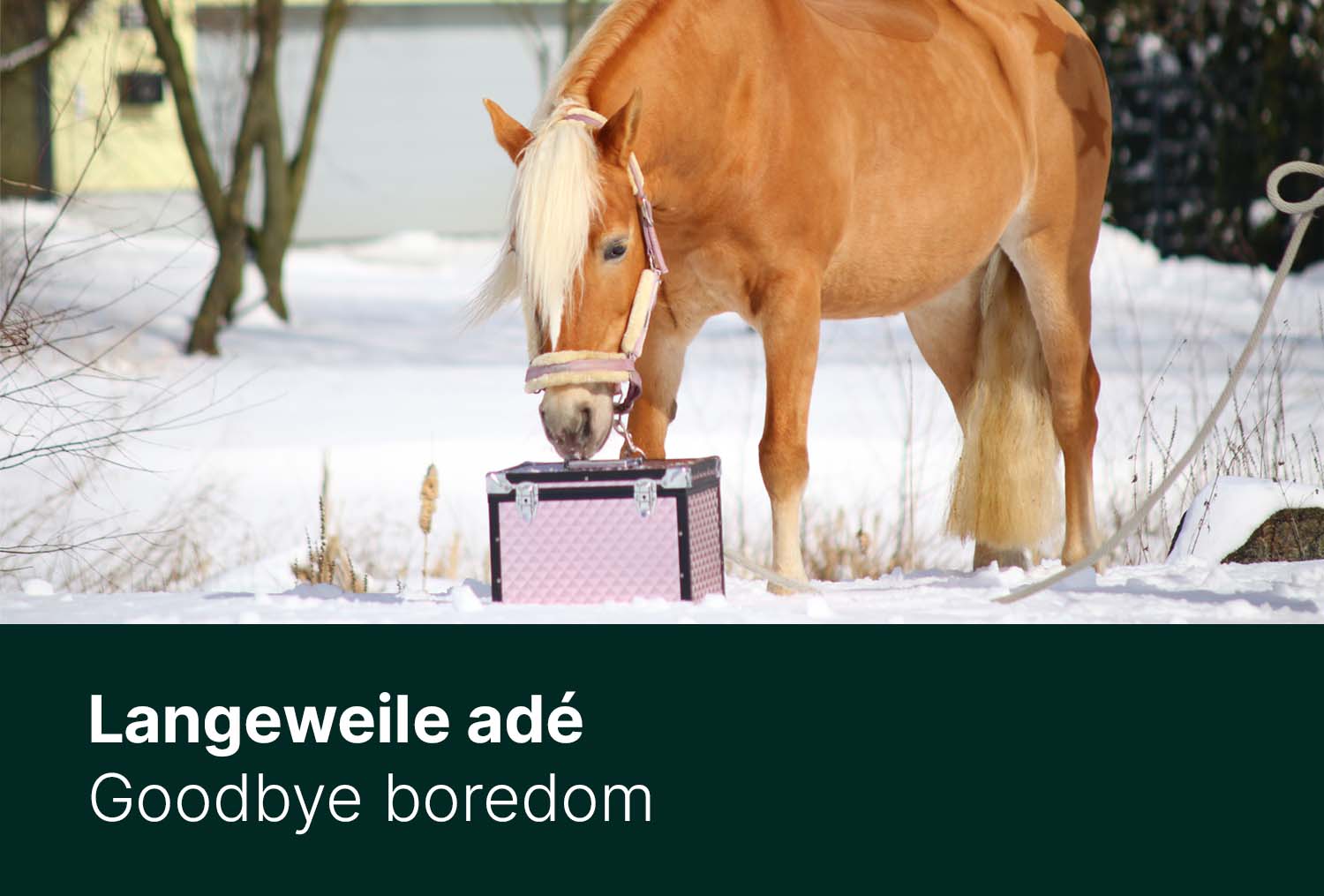 Langeweile adé - Tipps für den Winter