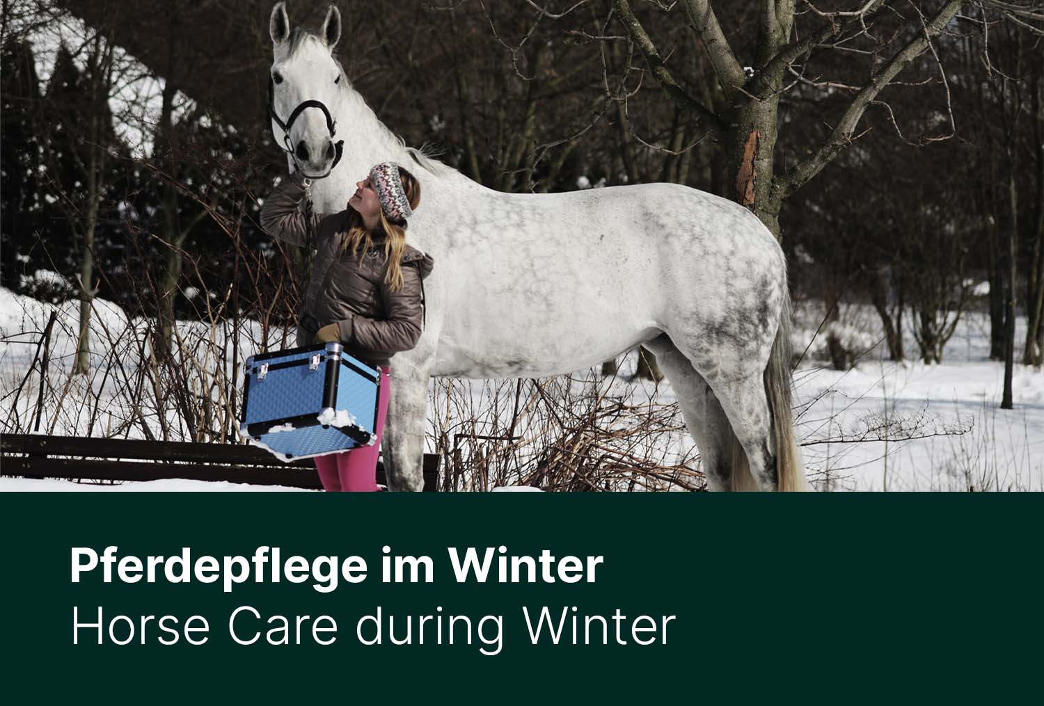 Pferdepflege im Winter