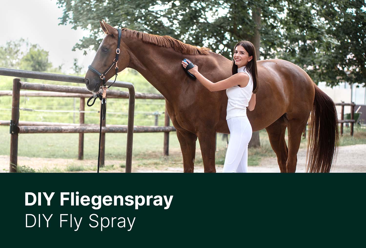 DIY Fliegenspray - geschützt in den Sommer starten