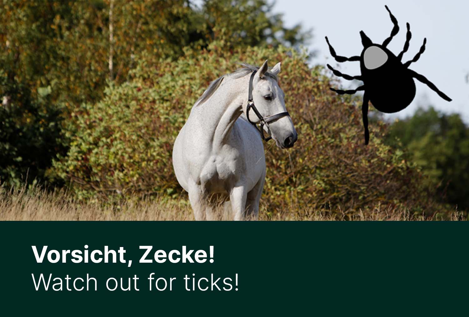 Vorsicht, Zecke!