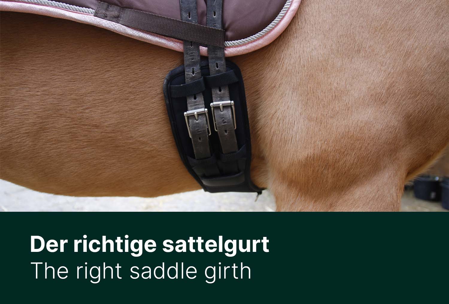 Der passende Sattelgurt
