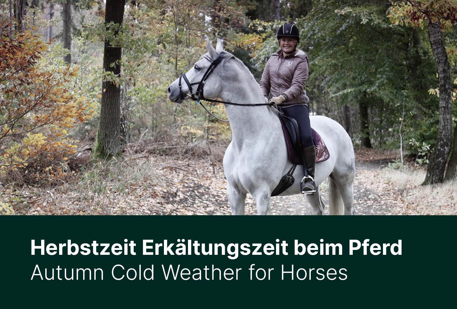 Herbstzeit – Erkältungszeit beim Pferd