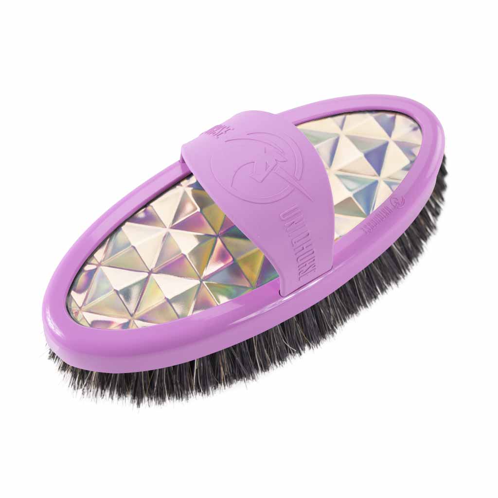 Brosse Carde