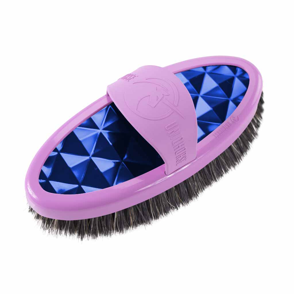 Brosse Carde
