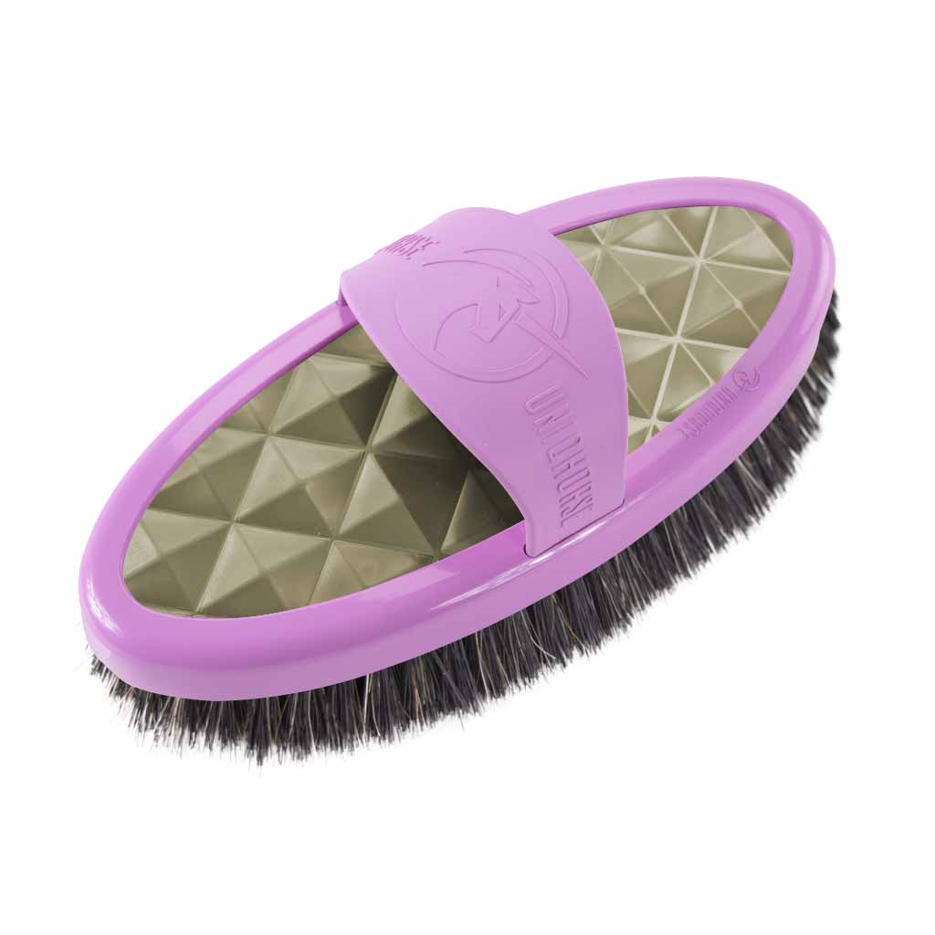 Brosse Carde
