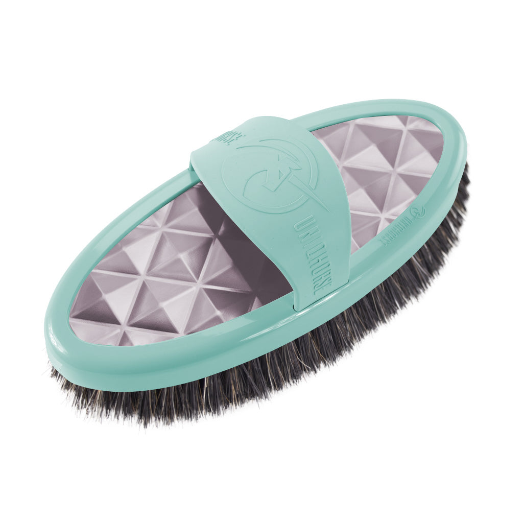 Brosse Carde