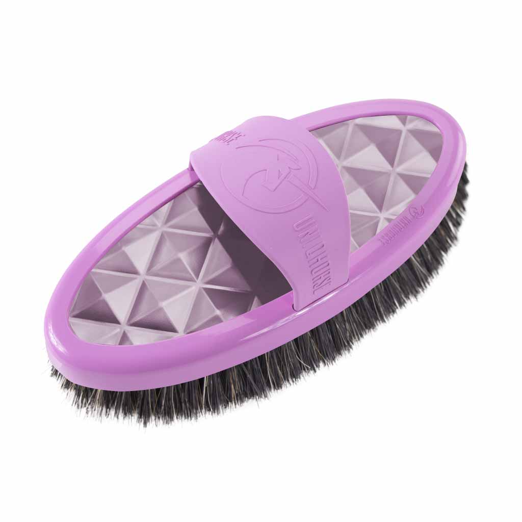 Brosse Carde