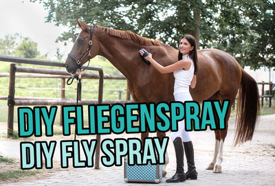 DIY Fliegenspray - geschützt in den Sommer starten