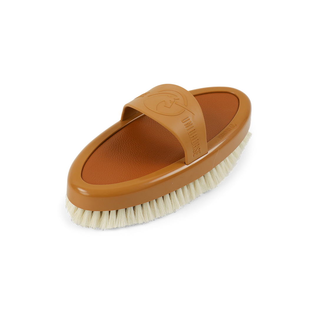 Brosse Brillance Canvas