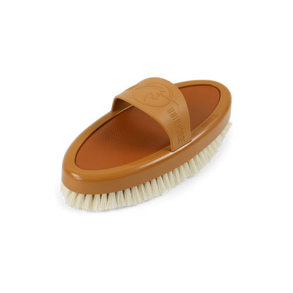 Brosse Brillance Canvas